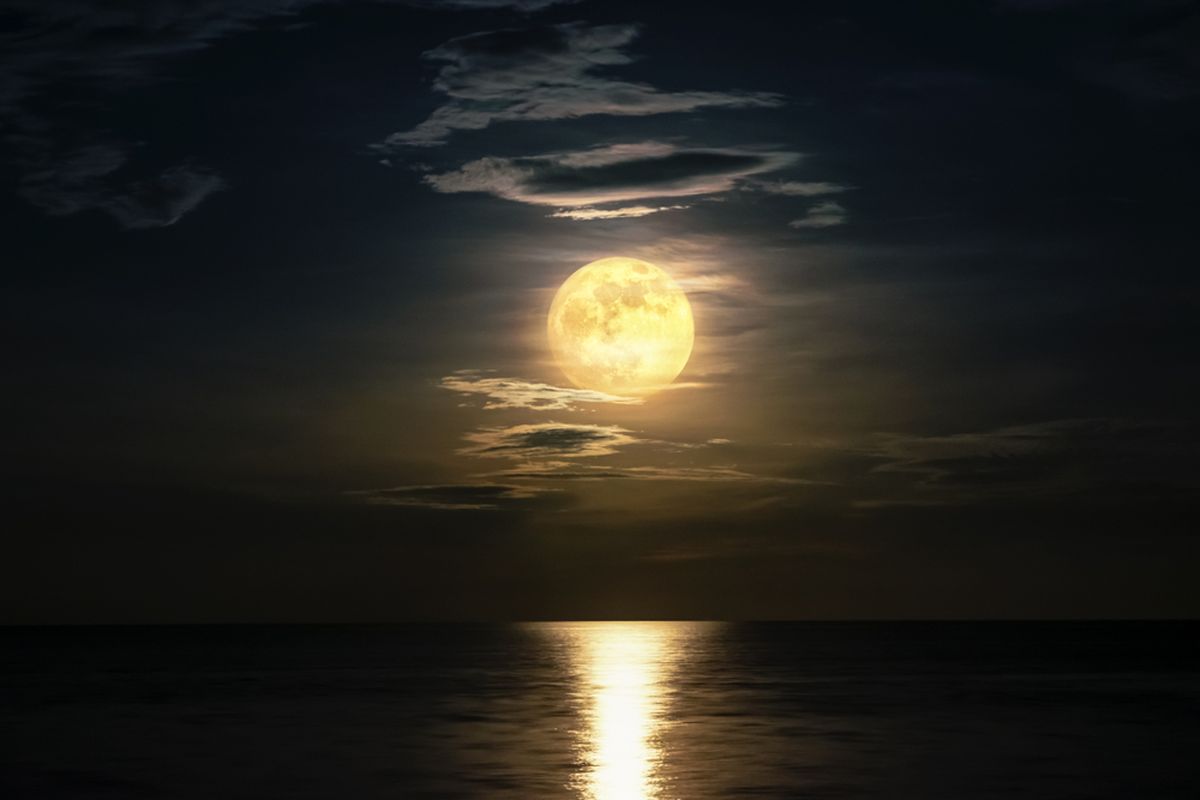 Fakta Menarik Tentang Bulan