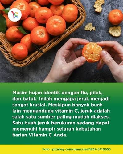 Fakta Menarik Tentang Buah Jeruk Dan Manfaat Bagi Kesehatan