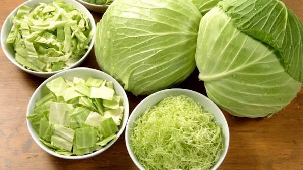 Fakta Menarik Sayur Kubis Yang Harus Di Ketahui